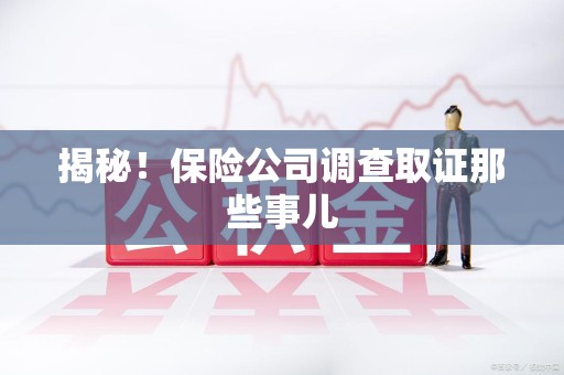 平潭揭秘！保险公司调查取证那些事儿