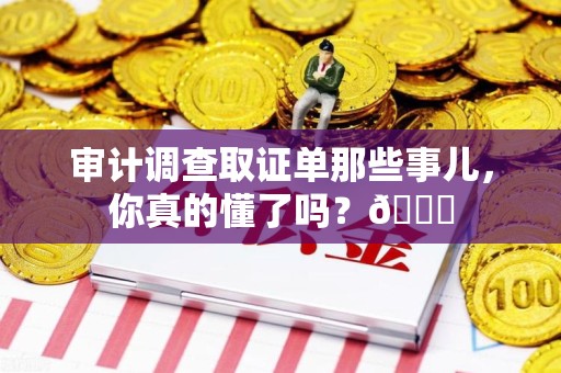 平潭审计调查取证单那些事儿，你真的懂了吗？😎